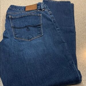 Lucky Brand size 8 Lolita Skinny Stretch Blue Jeans